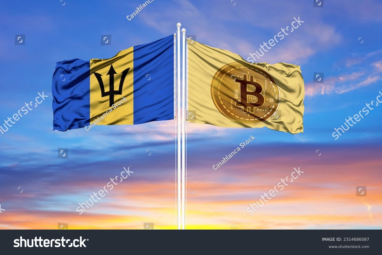 C