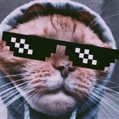 Đ