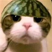 Đ