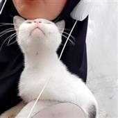 Đ