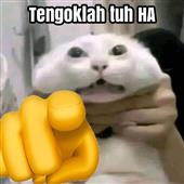 Đ